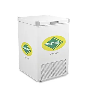 Western Deep Freezer 125 Liter