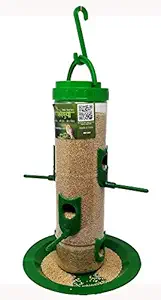 Amijivdaya Large Bird Feeder (Green, Transparent)