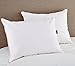 Puredown White Goose Feather and Down Pillow, Standard, Set of 2