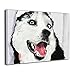 Produktbild ShuciYAO Husky Dog Leinwanddruck (30 x 20 cm), modernes Bild auf Leinwand, dekoratives Kunstwerk, Wanddekoration für Zuhause, Galerie zum Aufhängen