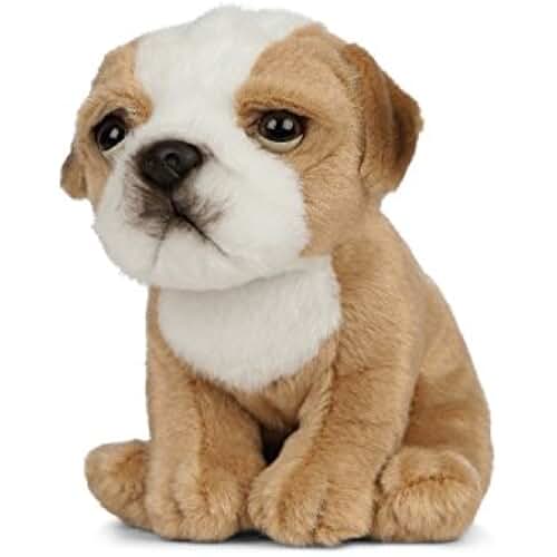 Amazon.fr bulldog anglais Peluches Jeux et Jouets