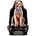 Produktbild Top Fun Autositzbezug einteilig - Funny Dog - einteilig Schonbezug Sitzbezug Sitzschutz Autositzbezug Geburtstag Geschenk