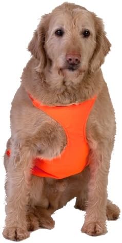 Dog Not Gone Visibility Products Safety Chest Vest, Small
