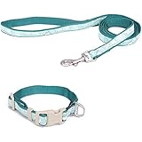 [Gesponsert]Touchdog Hundleine mit Halsband und Clip, Hundegeschirr aus Nylon, langlebig und verstellbar