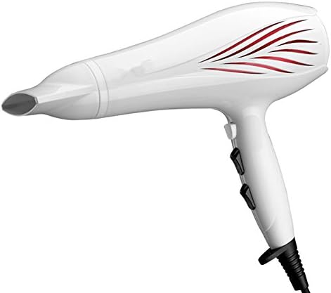 Professional Hair Dryer 2000W Blu-ray Xagoo negative ions Touche Air Cool / Warm For family or living room (White)