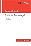Image de Typische Baumängel