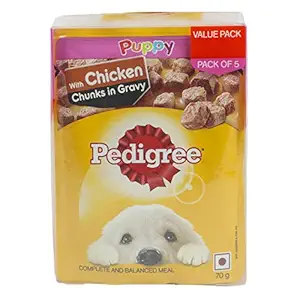 Pedigree Puppy Wet Dog Food with Chicken Chunks in Gravy, 70g (Pack of 5)
