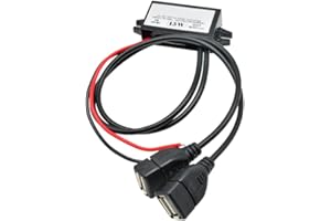 Heemol 12V auf USB,12V auf 5V USB-Adapter,Buck-Konverter-Modul 3A 15W DC auf DC Auto-Stromwandler Adapter (Dual USB)