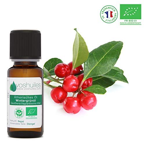 Preisvergleich Produktbild Ätherisches Bio-Wintergrünöl - 10ml