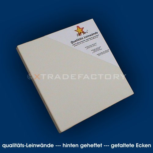 10 ARTSTAR LEINWÄNDE Leinwand Keilrahmen 30x30