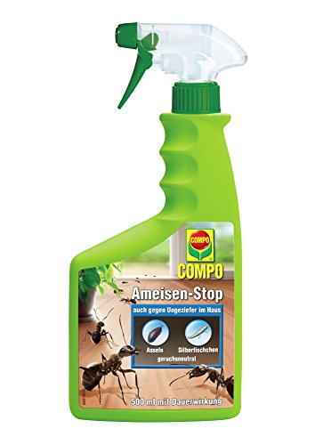 COMPO Ameisen-Stop, Insektizid-Spray, beseitigt für bis zu 3 Monaten u.a. Ameisen, Silberfischchen und Asseln, 500 ml, nicht bienengefährlich