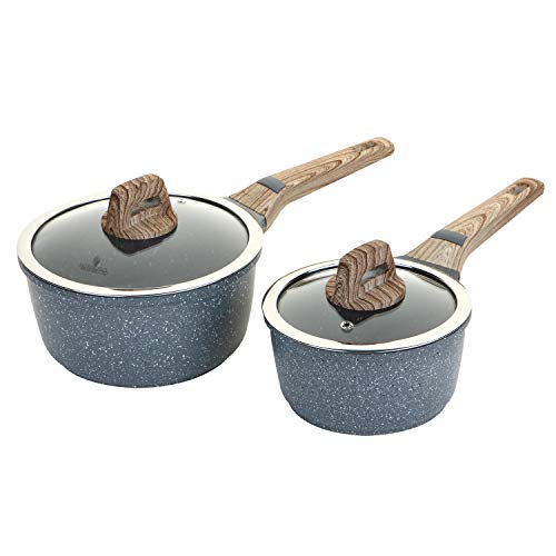 ROSSETTO Set de 2 Casserole 16cm + 20cm avec Couvercle Verre/INOX, Revêtement Anti-adhérent, Tous Feux Dont Induction (Set de Casserole 16cm+20cm)