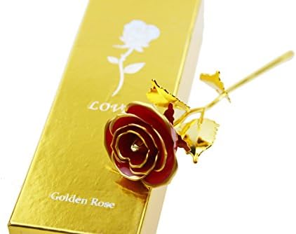 Love Forever 24k Gold Rose,Best Gift for Girls Women Men,Christmas Valentine's Day Mother's Day Anniversary Special Day with Gift Box(Red with Gold leaf)