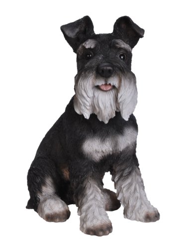 Vivid Arts Zwergschnauzer Hund, schwarz-weiß, Kunstharz
