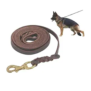 Pet World Genuine Leather DogTraining Leash