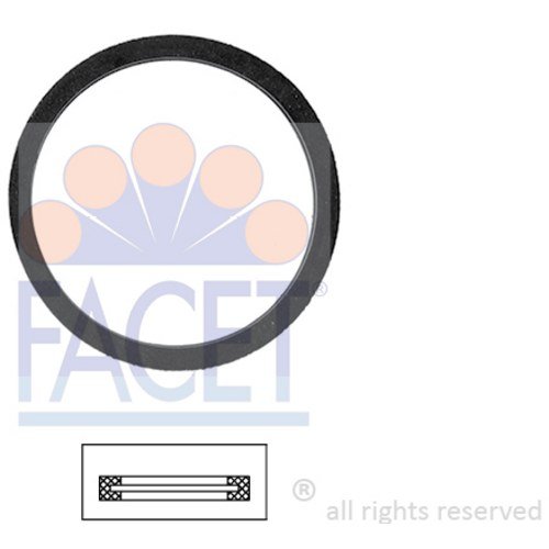 Preisvergleich Produktbild Facet 7.9569 Dichtung, Thermostat