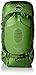 Produktbild Osprey Atmos AG 65 Herrenrucksack, Größe:L, Farbe:absinthe green