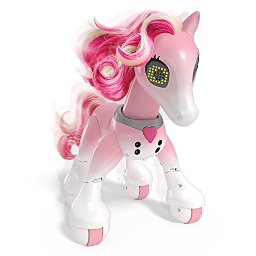 41RmAVG7wPL Zoomer - 6036997 - Pony