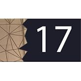 Dekoratif Aynalı Modern Gold Kapı Numarası - 17