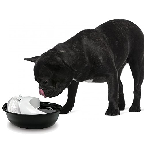 Bunty-Pet-Dog-Cat-Automatic-Water-Fountain-Bowl-Clean-Fresh-Purifier-Drinking