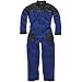Produktbild Dickies Overall"GDT 210", 1 Stück, M, royalblau/schwarz, WD4940 RBB M