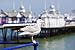 Produktbild Poster-Bild 60 x 40 cm: "Seagull at Eastbourne Pier", Bild auf Poster