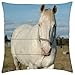 Produktbild KLYDH A Gentle Giant - Throw Pillow Cover Case (18" x 18")