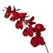 Produktbild Yalulu 2 Stück Orchidee Künstliche Simulation Schmetterling Orchideen Blüte Blumen Hochzeit Haus Partei Home Deko (Rot)