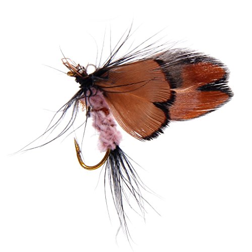 yeah67886 12 Creative Künstliche Schmetterling fliegen Fischen Trockenfliegen Köder Haken - 5