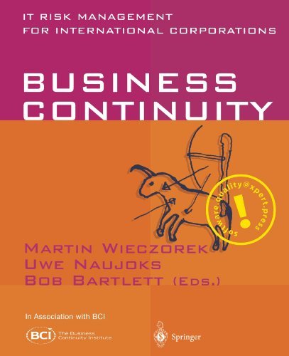 Business Continuity: IT Risk Management for International Corporations (English Edition)