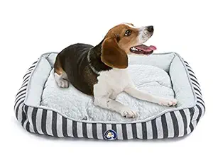Callas RioAndMe Self Cooling Reversible Rectangle Non Slip Pet Bed for Dogs and Cats, Large 36 Inches, RA 3375 L, Blue