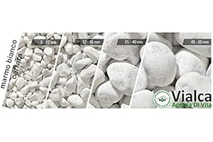 VIALCA Sassi Ciottoli Pietre Bianco Carrara Decorativi Giardino - 25kg Varie Misure (25-40)