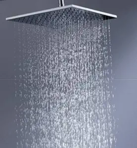 Aquieen Chrome Finish 304 Grade SS Rain Overhead Shower (6