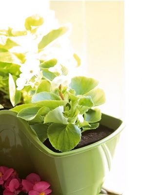 Dreistöckige Pflanzpyramide mit Bewässerungssystem für Kräuter und Blumen, in verschiedenen Farben (anthrazit) - 4