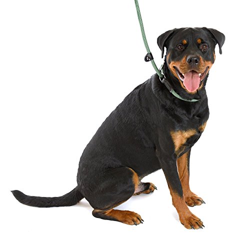 COA 3 in 1 Slip Lead