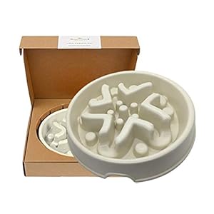 Cuenco de fibra de bambú para alimentación lenta, para perro