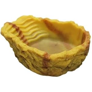 Trinkschale S, ocker, 50 ml, 10x3x8 cm