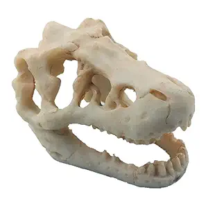 MTGHYAYA Aquarium Decoration Mini Dinosaur Skull Aquarium Betta Fish Ornament Freshwater Small Dinosaur Skull Fish Tank Landscape with Holes Aquarium Hideout Caves