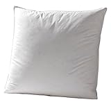 HÄUSSLING Königstraum Federkissen fest Füllkissen Dekokissen 40x40 cm HÄUSSLING Königstraum Federkissen fest Füllkissen Dekokissen 40x40 cm