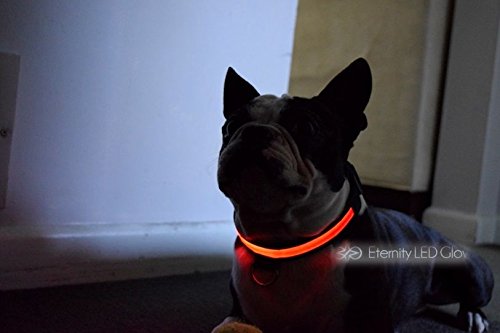 DOG-COLLAR-pet-LED-light-up-flashing-luminous-night-safety-coloured-bright-VARIOUS-COLOURS-AVAILBLE-UK-SELLER