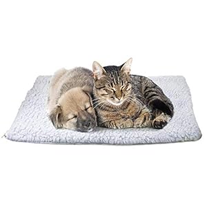 demiawaking – Manta térmica con calefacción para Mascotas para Cama de Gato/Perro