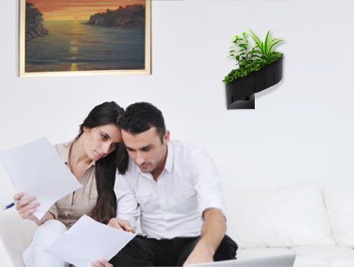 Modul’Green – Designer blumentopf für Wände – drinnen & draußen – schwarz - 6