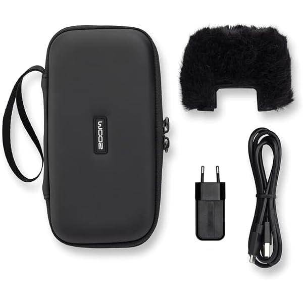 T TAKONE Étui de Transport Rigide pour Console de Jeu Portable R36S, étui EVA 17 x 12 x 5 cm, Compatible avec Console de Jeu Portable R35S, RG35XX, RGB20S et Accessoires