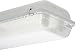 Produktbild Ridi-Leuchten FR-Leuchte ECALUX-PFWG 258 EVG 2xT26 58W EVG PFWG Decken-/Wandleuchte 4029299043464
