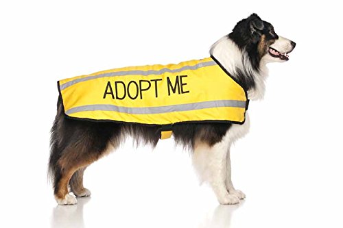 ADOPT-ME-I-Need-A-New-Home-Yellow-Colour-Coded-S-M-L-Reflective-Waterproof-Fleece-Lined-Warm-Dog-Coats-PREVENTS-Accidents-By-Warning-Others-Of-Your-Dog-In-Advance