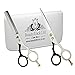 Produktbild BeautyTrack 5.5" Haarschneidescheren setzen Friseursalon professionelle Schneiden und Ausdünnen Schere für Friseur + Präsentation Fall
