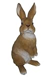Vivid Arts Real Life Lookout Rabbit (Size C) (Garden &amp; Outdoors)