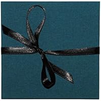 Leporello Fotoalbum 15x15cm schwarze Seiten