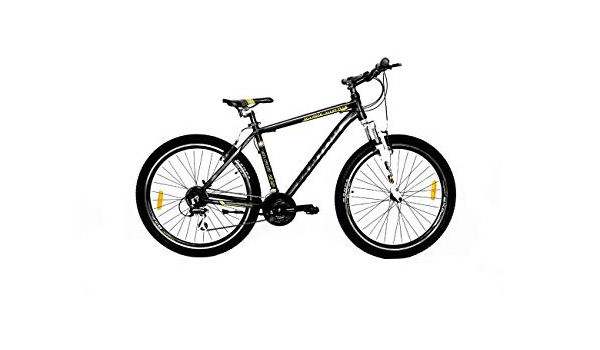 fantom cycle near me