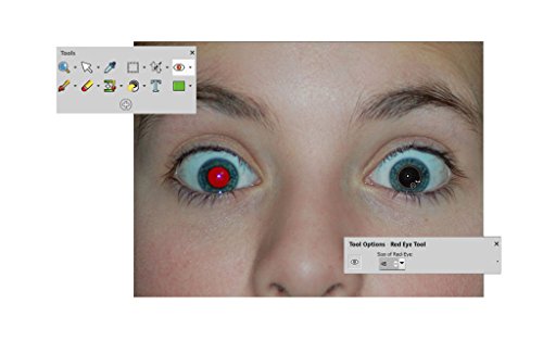 PaintShop Pro 2018 - Software De Dise  o Grafico Y Edici  n De Fotos  Windows  Multi  1 Usuario